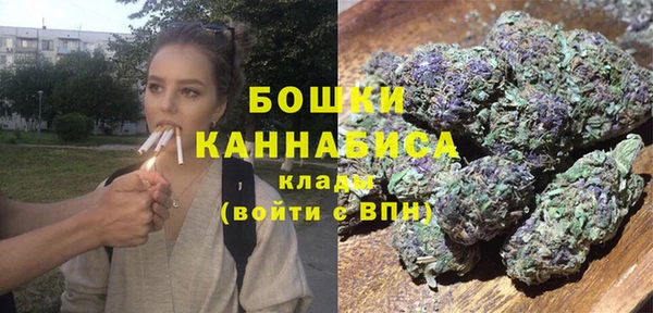 прущие грибы Козловка