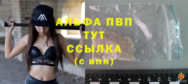 прущие грибы Козловка