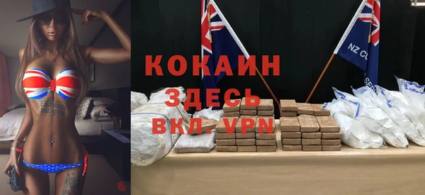 дживик Козельск