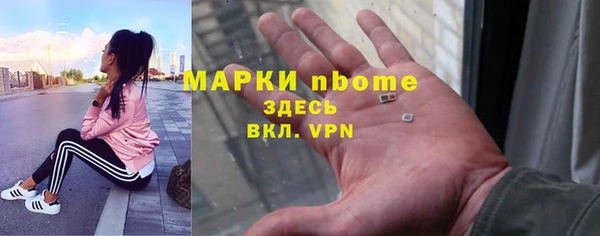 прущие грибы Козловка