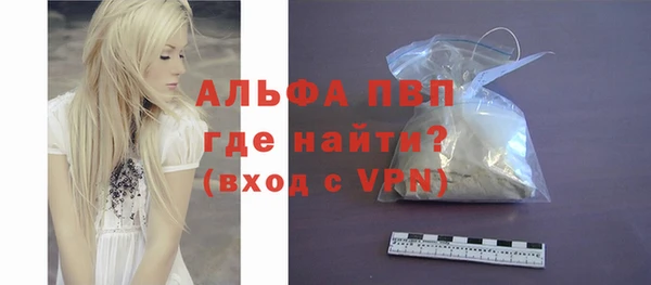 гашик Костерёво