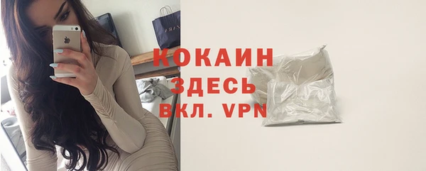 дживик Козельск