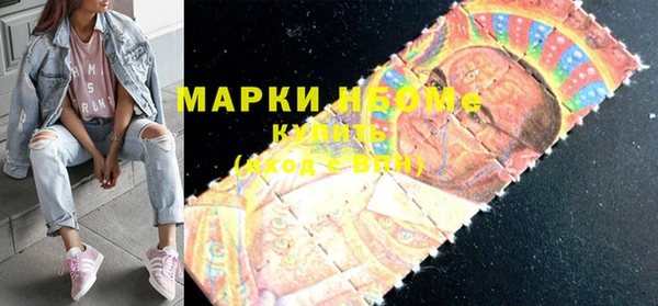 гашик Костерёво
