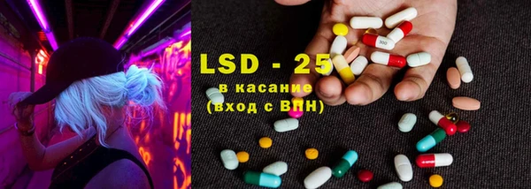 прущие грибы Козловка