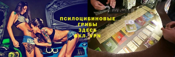 дживик Козельск