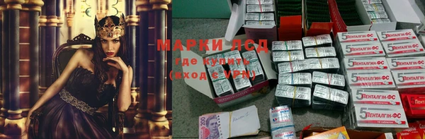 дживик Козельск