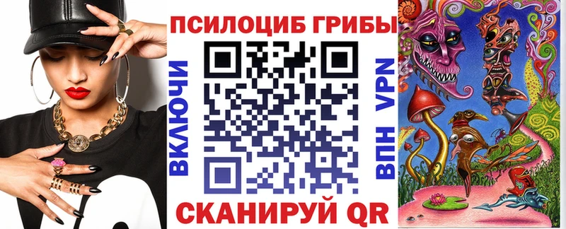 Псилоцибиновые грибы Psilocybine cubensis  Костерёво 