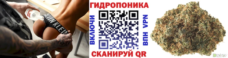 Марихуана индика  Костерёво 